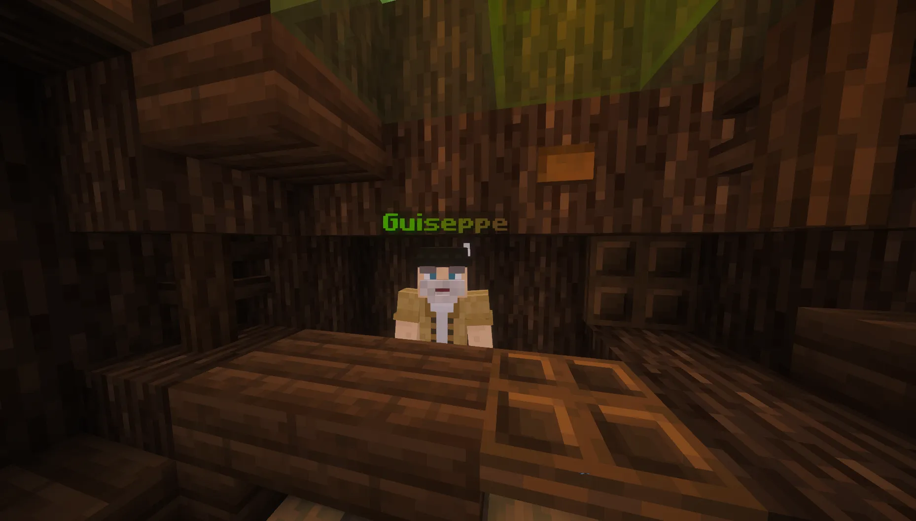 AstraMC — Minecraft SMP Server